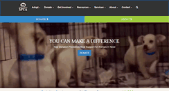 Desktop Screenshot of ccspca.com